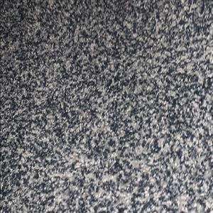 No yankee with no brim